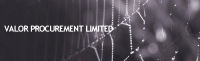 Valor Procurement LTD.